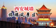虐肛潮喷中国陕西-西安城墙旅游风景区