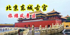 被男人的鸡巴干啊啊视频中国北京-东城古宫旅游风景区